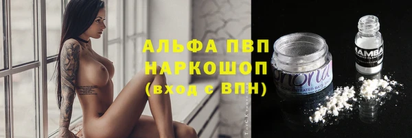 хмурый Михайлов