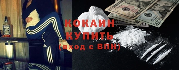 твердый Михайловск